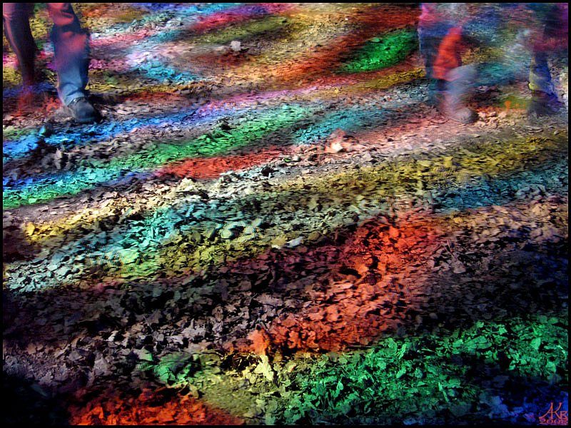 SINGING RAINBOW