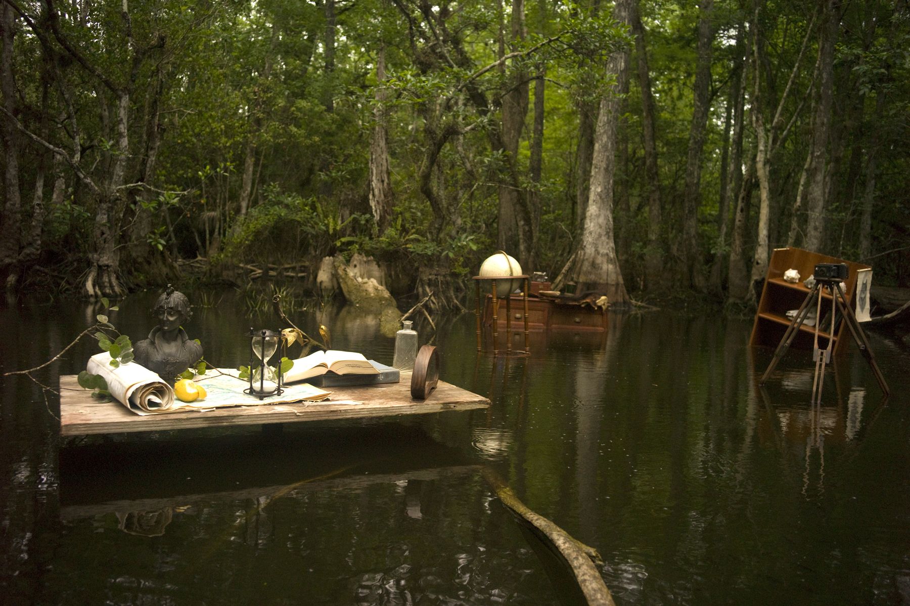 Dana Levy_Emerging From The Swamp1