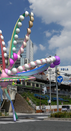 Tsvetasis — Maxim Svishev, 2017