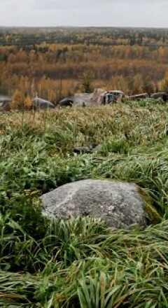 «Извивание», Паси Аутио, 2018