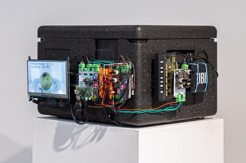 Vasilii-Bakanov-and-Andrew-Strokov-Russia-Slow-burning.-Still-Life-open-ended-installation-2020-edition-of-2021.-CYFEST-14-HayArt-Cultural-Center.-Photograph-by-Ann-Prilutckaia