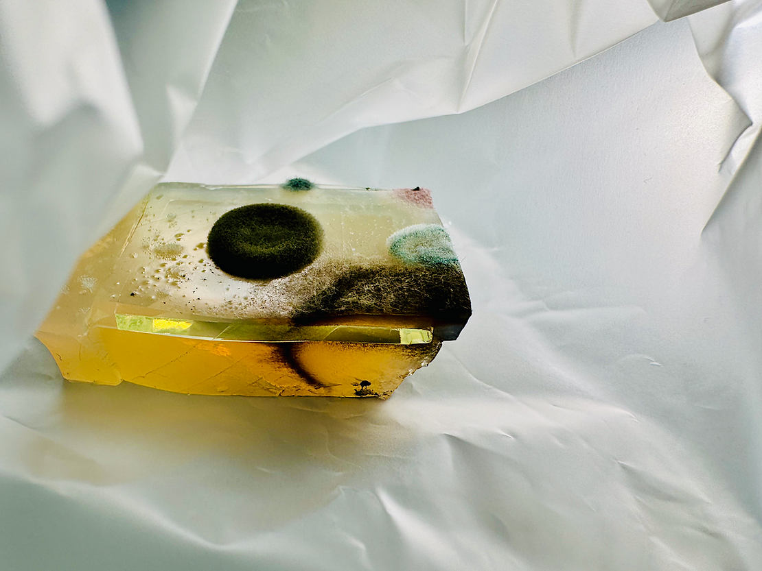 Microorganisms from SCK Mol Cooling Tower Basin in agar-based broth, on top of a conductive glass piece. Lab for Microbiology, UGent. Photo by Bartaku