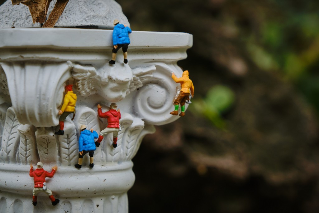 Anna Frants, Obstinacy and Persistence, Installation, 2023. CYFEST-15, Yerevan Botanical Garden. Photo: Jurgen Bunimovich 